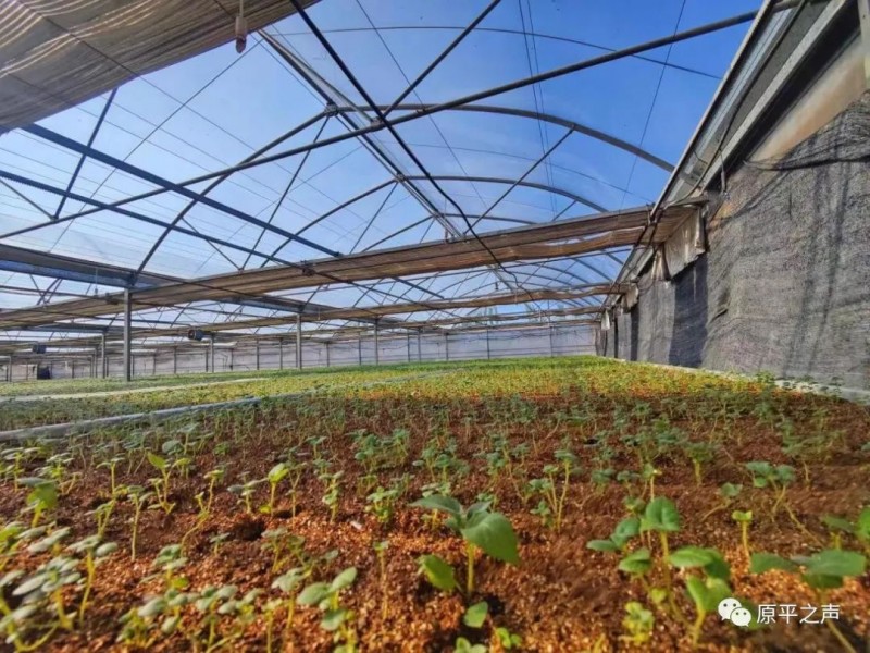 微信图片_20220526165408