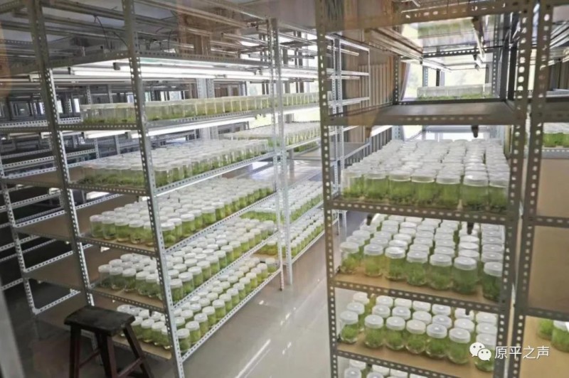 微信图片_20220526165412