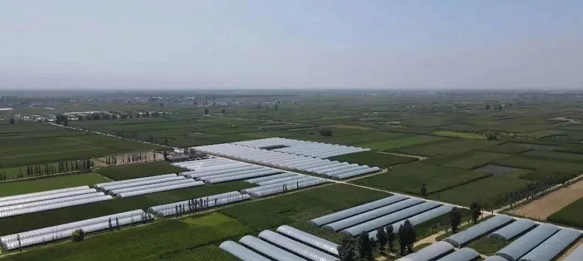 微信截图_20220531102529