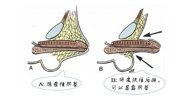 微信截图_20220606121054