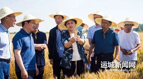 微信截图_20220606151212