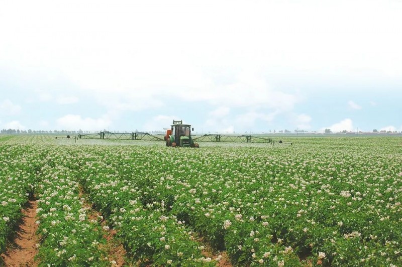 微信图片_20220606155134