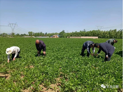 微信截图_20220606163904