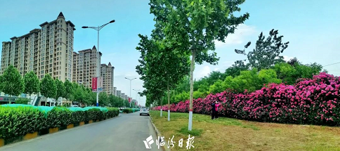 微信截图_20220606165304