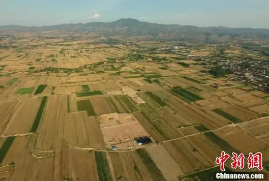 微信截图_20220607170419