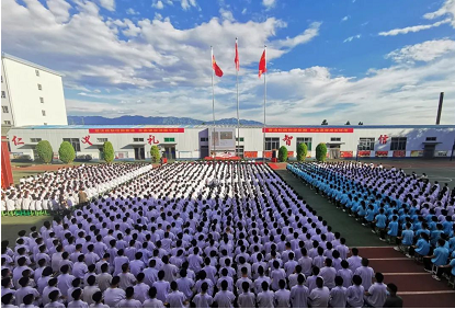 微信截图_20220615160559