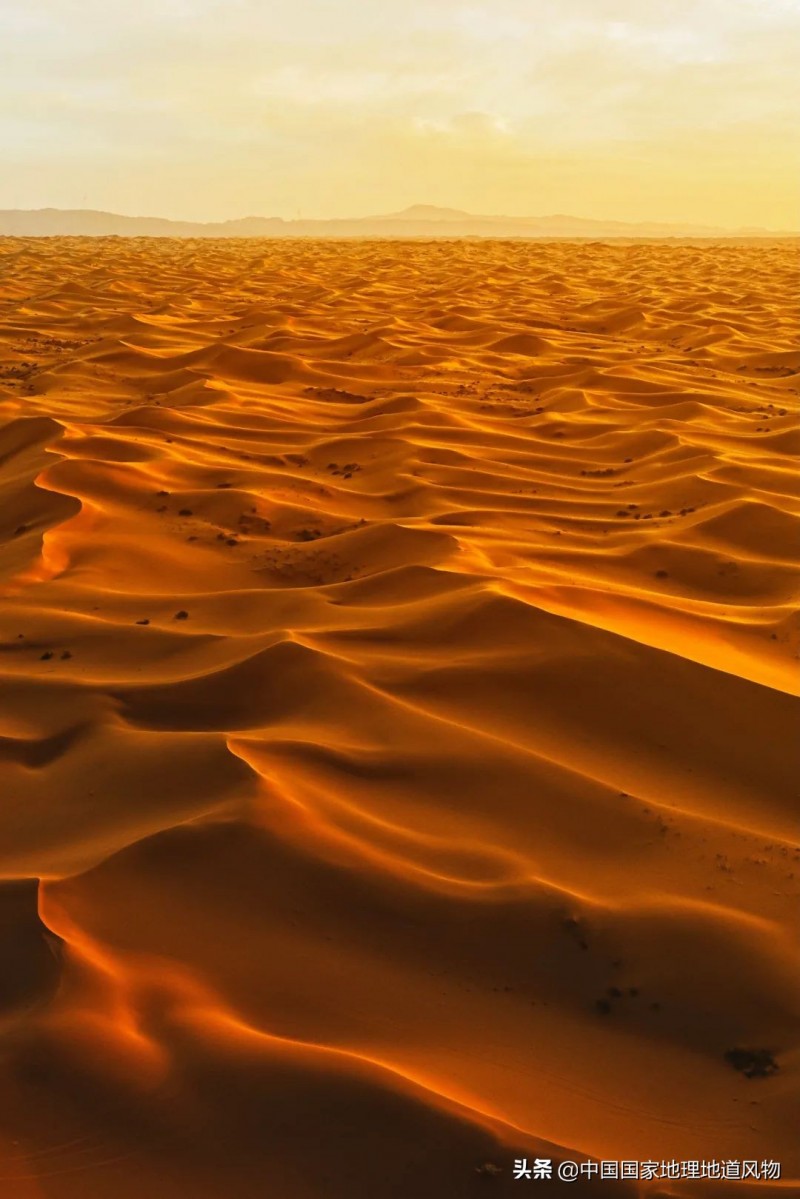 全是美图 | 内蒙古呼和浩特为什么有山西味儿?