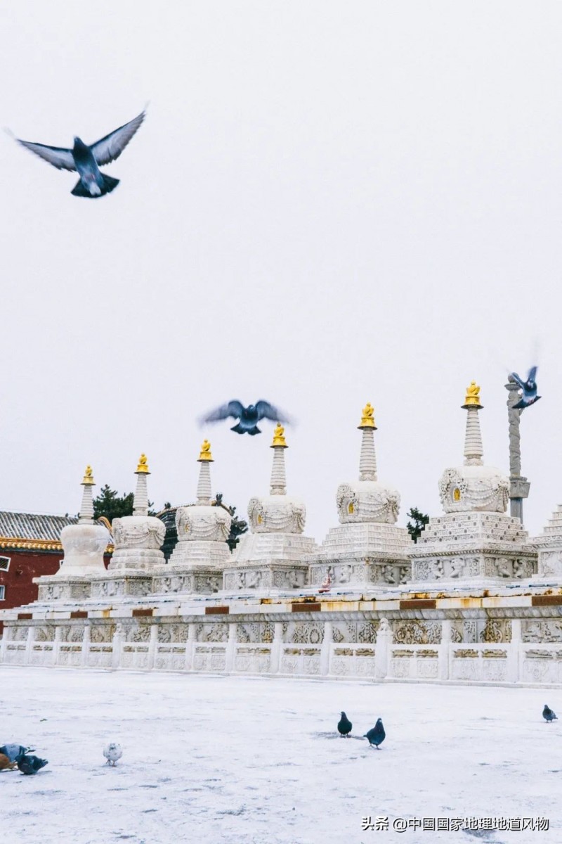 全是美图 | 内蒙古呼和浩特为什么有山西味儿?