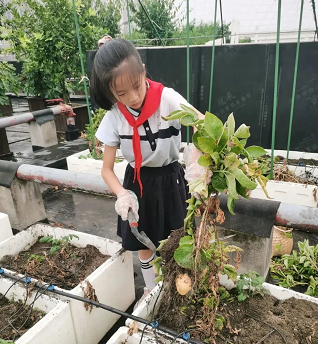 微信截图_20220616144950