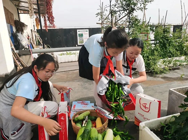 微信截图_20220616145003