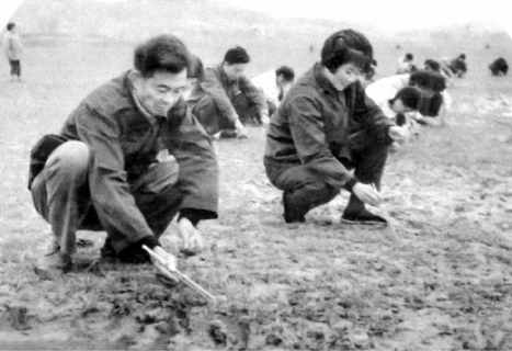 微信截图_20220616172539