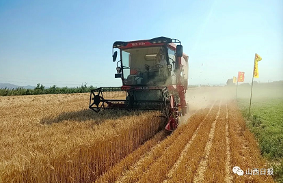 微信截图_20220617153235