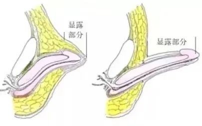 微信图片_20220620145819