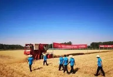 微信截图_20220620152335