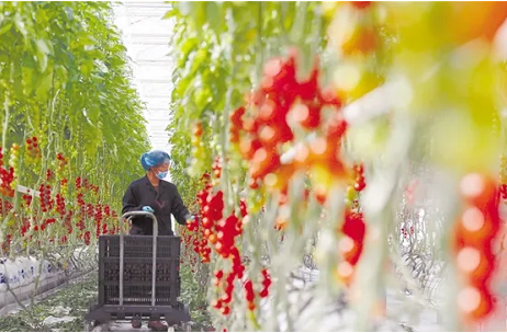 微信截图_20220621101649