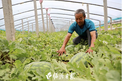 微信截图_20220624161856