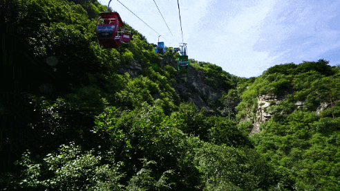 微信截图_20220628154723