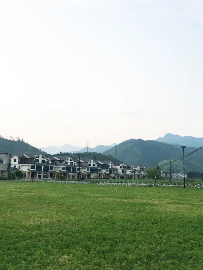 你真的理解乡村振兴吗？