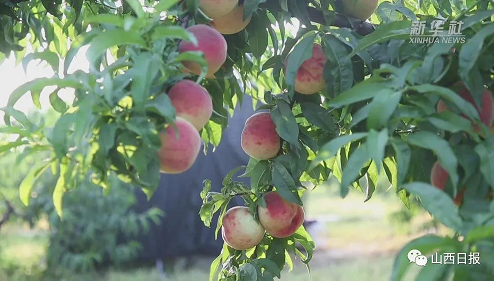 微信截图_20220704140729