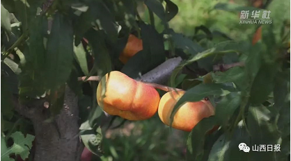 微信截图_20220704140743