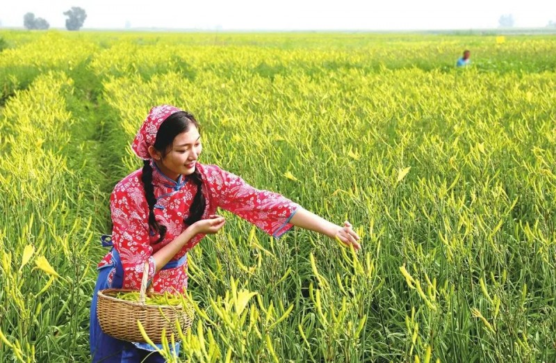 微信图片_20220707171120