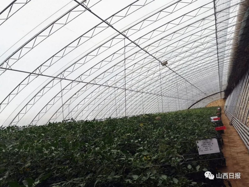 微信图片_20220708161538