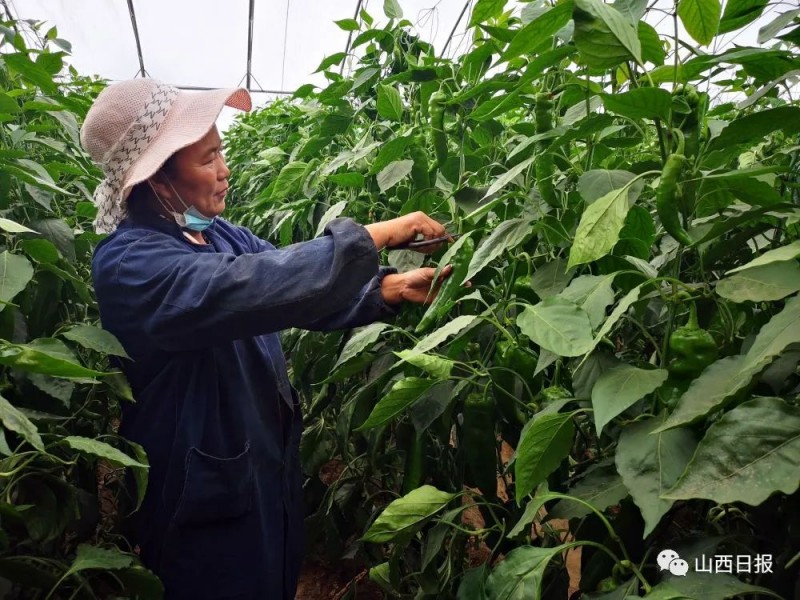 微信图片_20220708161549