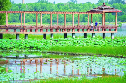 微信截图_20220711120616