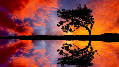 微信图片_20220711150056