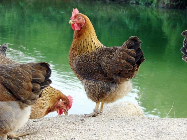 微信截图_20220719172611