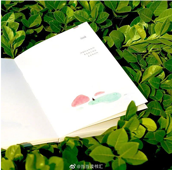 微信截图_20220720142004