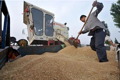 245.2万吨!山西夏粮工作受到农业农村部通报表扬