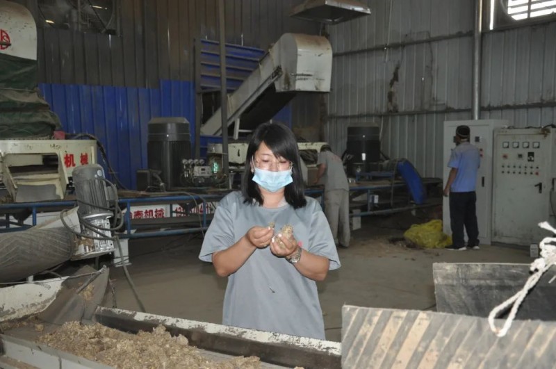 ​拼一把，不让青春留遗憾&mdash;&mdash;记阳高县返乡创业女大学生王美萍