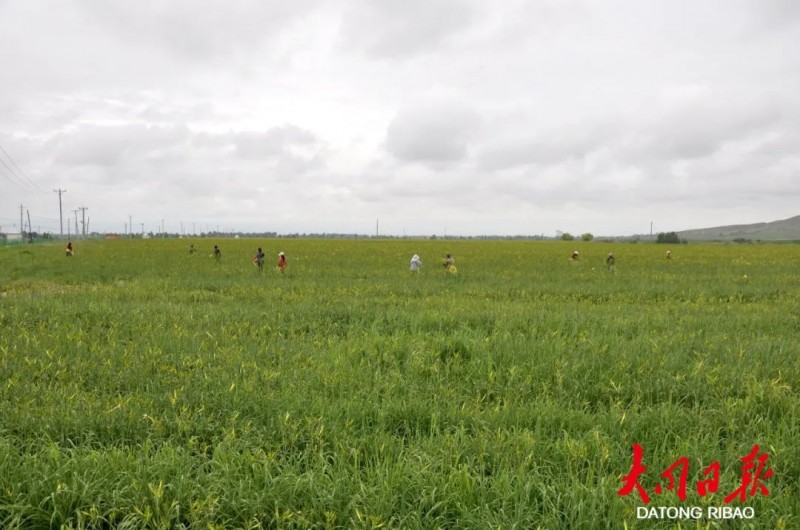 微信图片_20220727111746