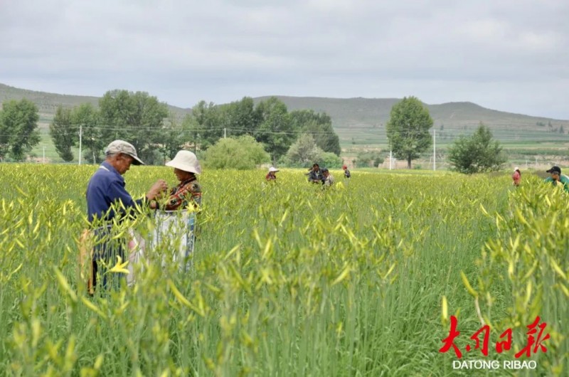 微信图片_20220727111754