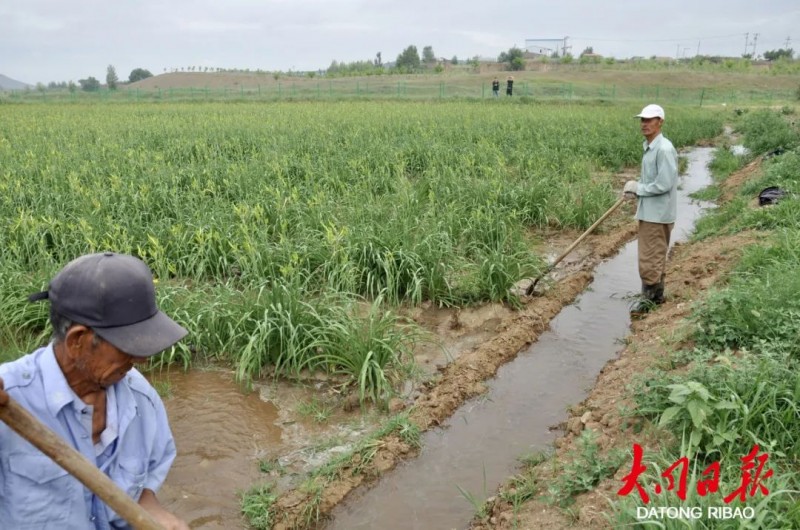 微信图片_20220727111813