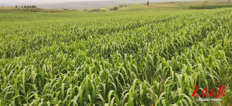 微信图片_20220727135248