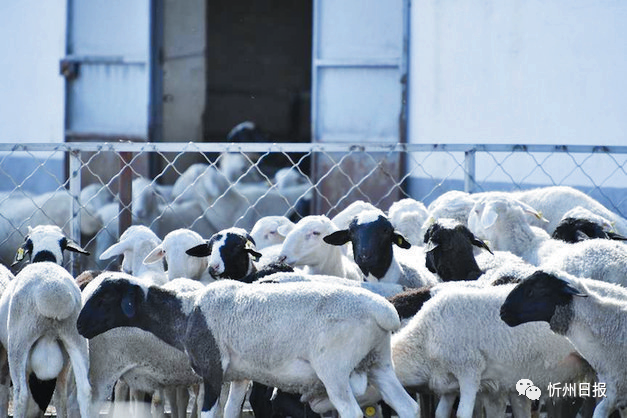 微信图片_20220727142303