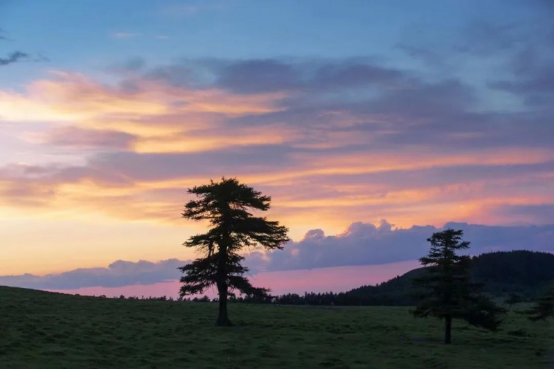 微信图片_20220728103237