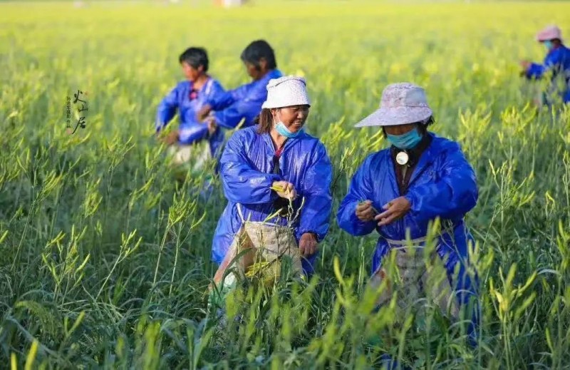 微信图片_20220802103703