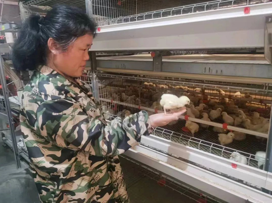 【奋斗者 正青春】裴志国：&ldquo;凤凰展翅&rdquo;拓宽致富路