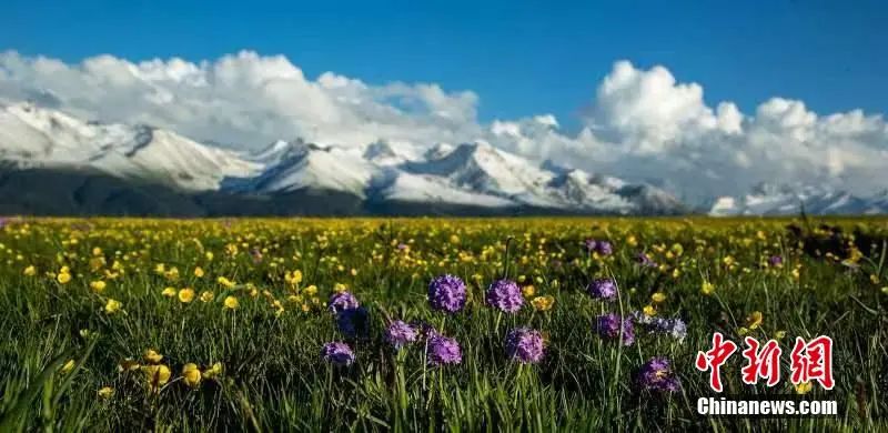 微信图片_20220810174340