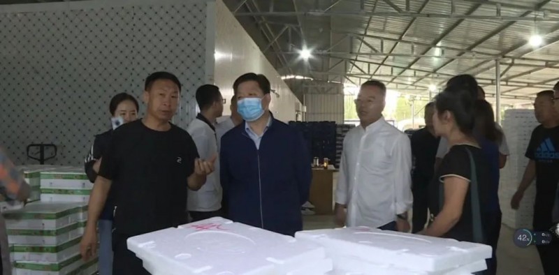 微信图片_20220811163837