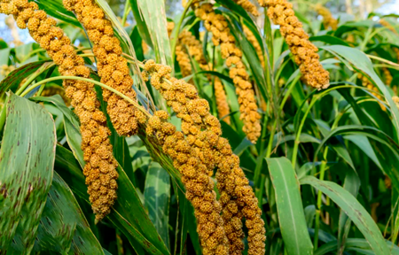 微信图片_20220812164633