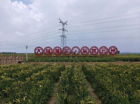 微信截图_20220815164414