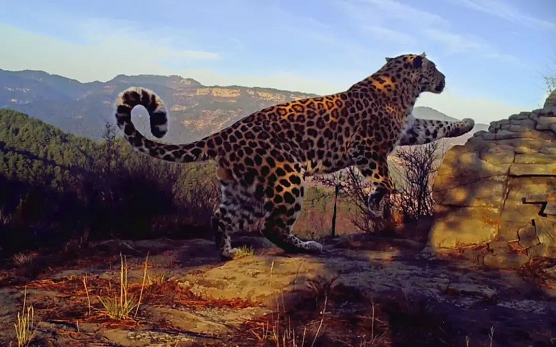 微信截图_20220816111800