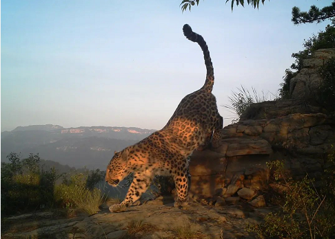 微信截图_20220816111807