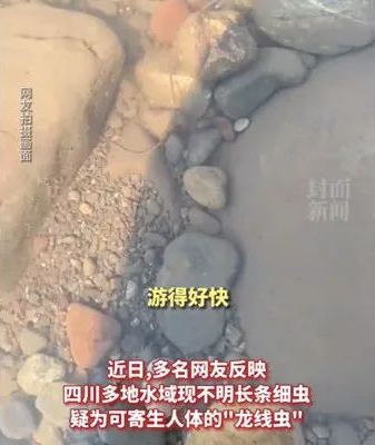 微信截图_20220816170131