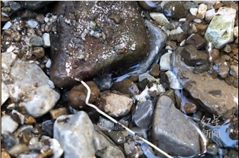 微信截图_20220816170152