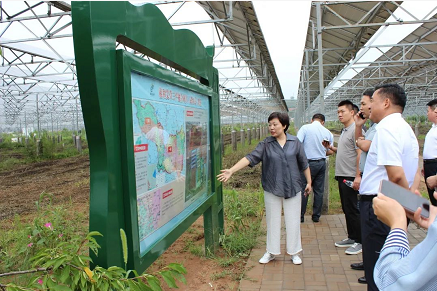 微信截图_20220816182200